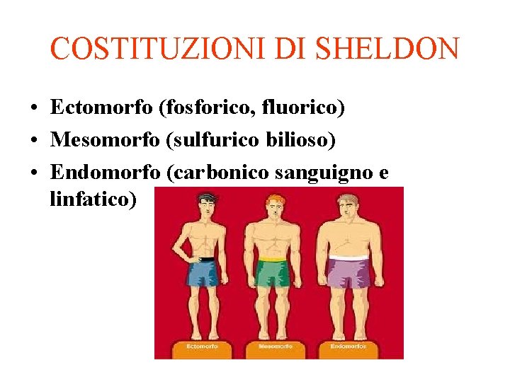 COSTITUZIONI DI SHELDON • Ectomorfo (fosforico, fluorico) • Mesomorfo (sulfurico bilioso) • Endomorfo (carbonico