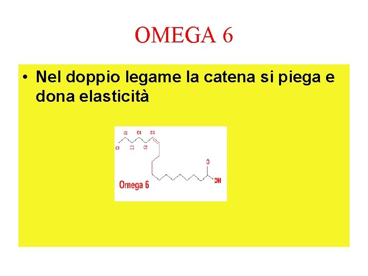 OMEGA 6 • Nel doppio legame la catena si piega e dona elasticità 