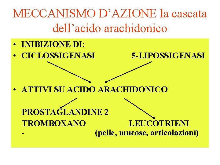 MECCANISMO D’AZIONE la cascata dell’acido arachidonico • INIBIZIONE DI: • CICLOSSIGENASI 5 -LIPOSSIGENASI •