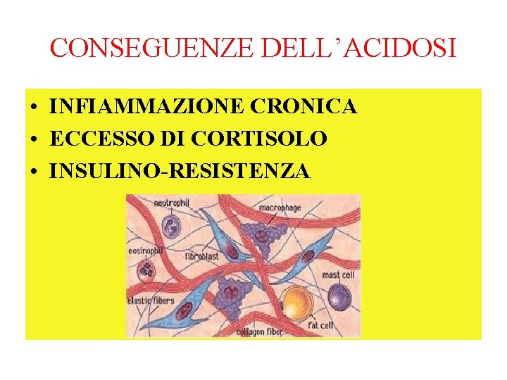 CONSEGUENZE DELL’ACIDOSI • INFIAMMAZIONE CRONICA • ECCESSO DI CORTISOLO • INSULINO-RESISTENZA 