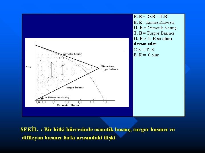 E. K= O. B – T. B E. K= Emme Kuvveti O. B =