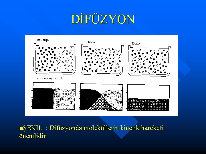 DİFÜZYON nŞEKİL : Difüzyonda moleküllerin kinetik hareketi önemlidir 