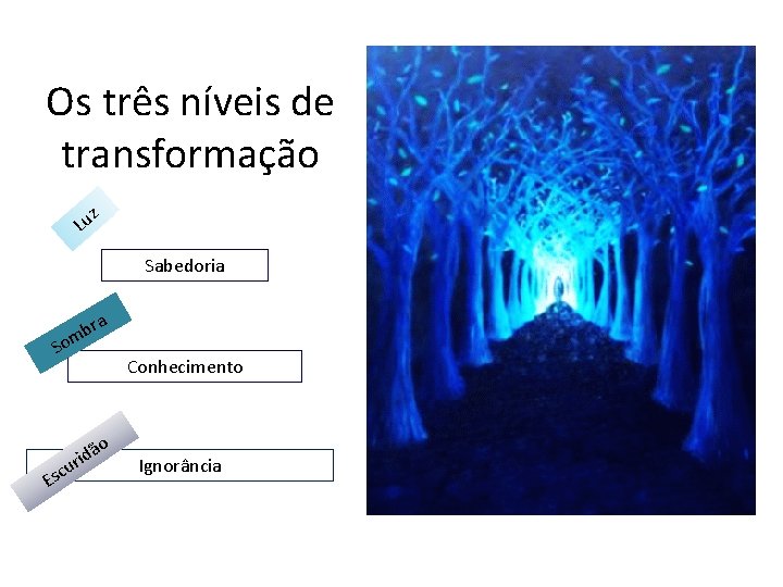 Os três níveis de transformação z Lu Sabedoria ra b m So Esc dã