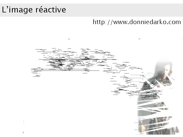 L’image réactive http: //www. donniedarko. com 