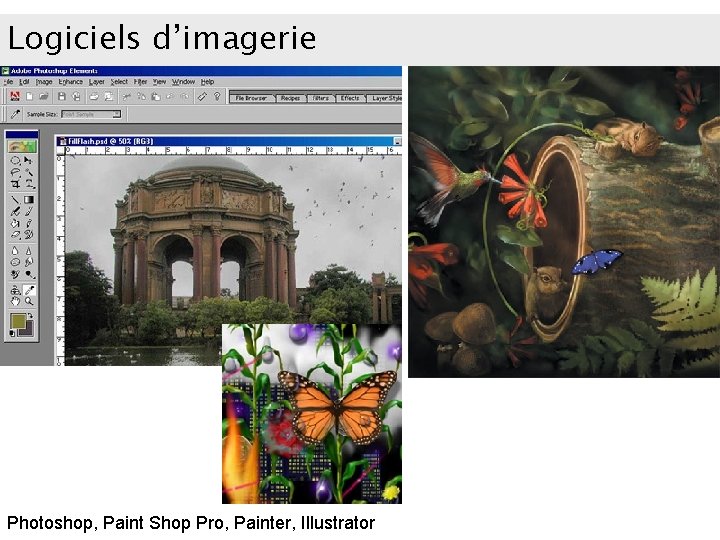 Logiciels d’imagerie Photoshop, Paint Shop Pro, Painter, Illustrator 