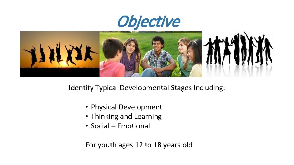 Objective Identify Typical Developmental Stages Including: • Physical Development • Thinking and Learning •