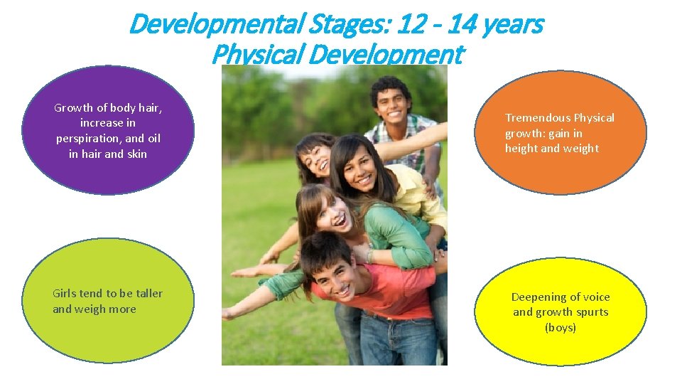 Developmental Stages: 12 - 14 years Physical Development Growth of body hair, increase in
