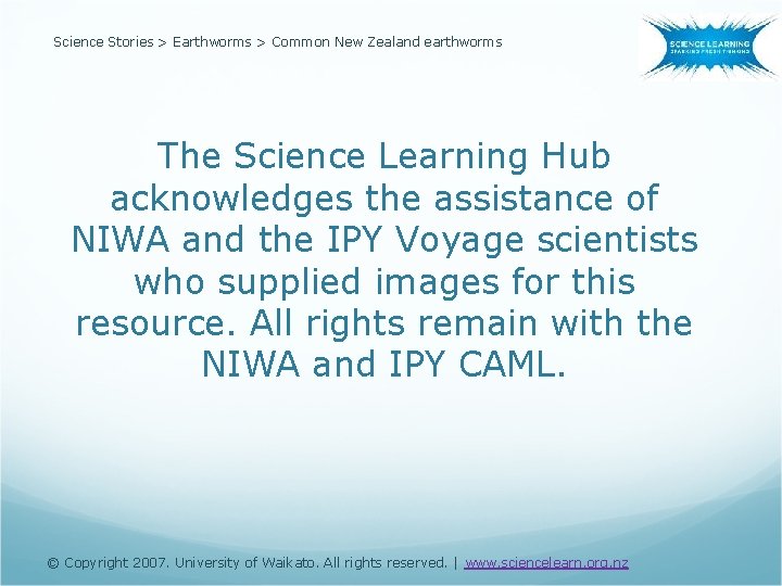 Science Stories > Earthworms > Common New Zealand earthworms The Science Learning Hub acknowledges