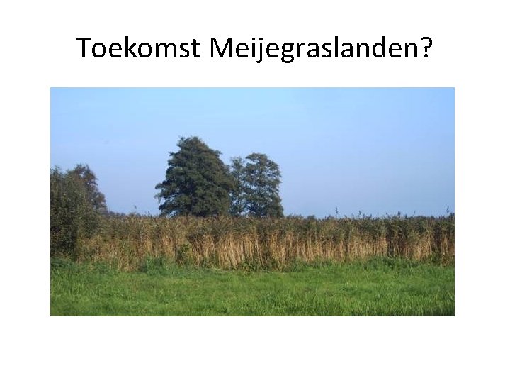 Toekomst Meijegraslanden? 