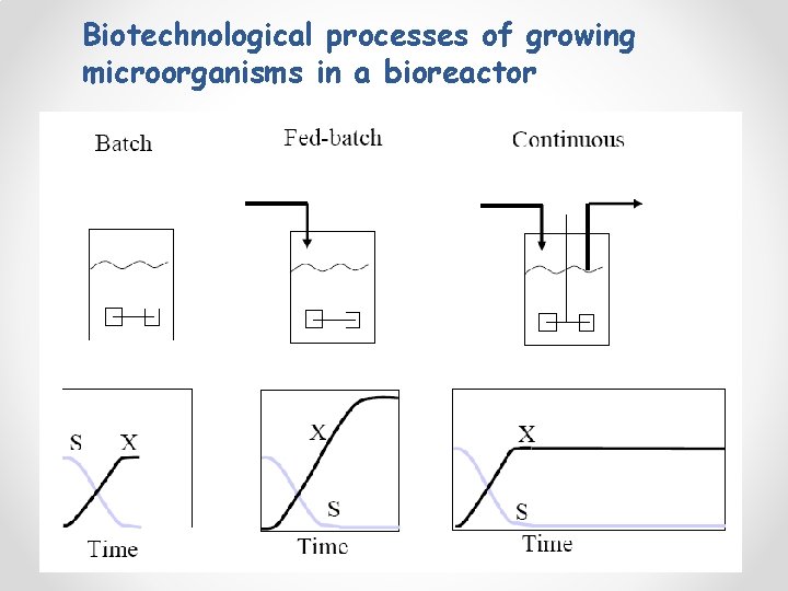 Biotechnological processes of growing microorganisms in a bioreactor 