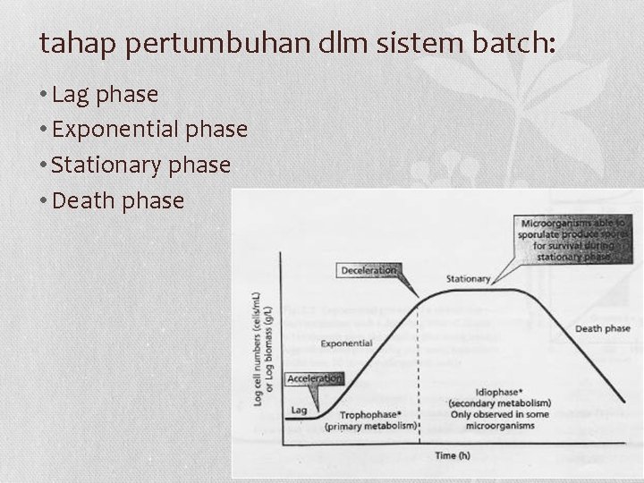 tahap pertumbuhan dlm sistem batch: • Lag phase • Exponential phase • Stationary phase