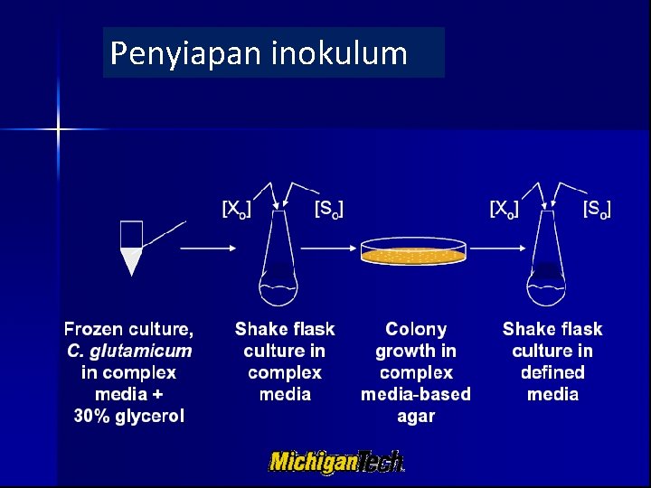 Penyiapan inokulum 