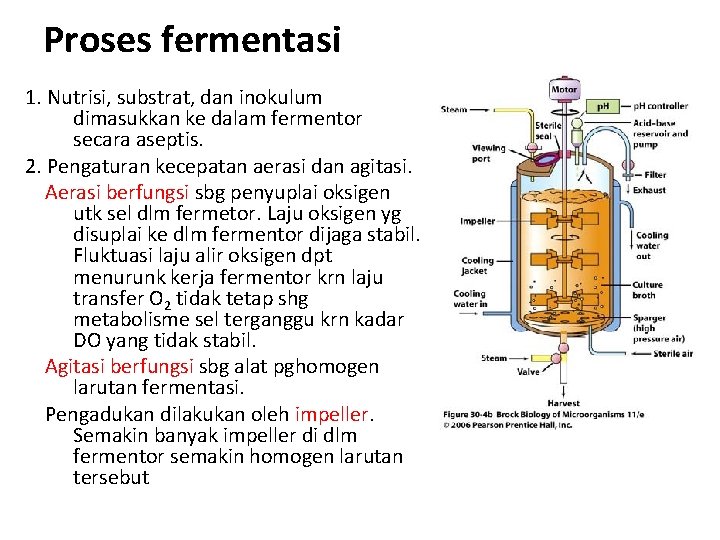 Proses fermentasi 1. Nutrisi, substrat, dan inokulum dimasukkan ke dalam fermentor secara aseptis. 2.