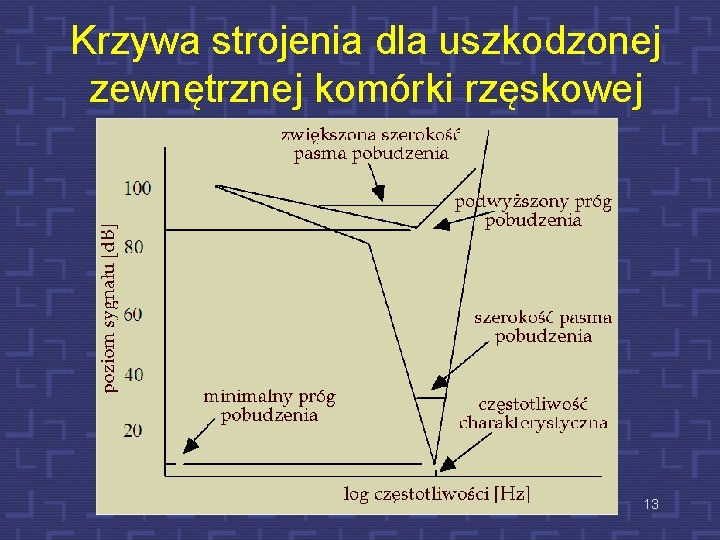 Krzywa strojenia dla uszkodzonej zewnętrznej komórki rzęskowej 13 