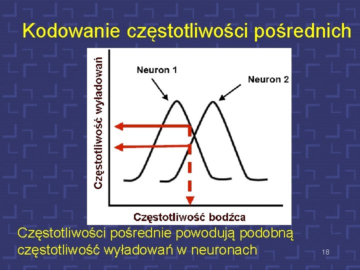 Kodowanie częstotliwości pośrednich Częstotliwości pośrednie powodują podobną częstotliwość wyładowań w neuronach 18 