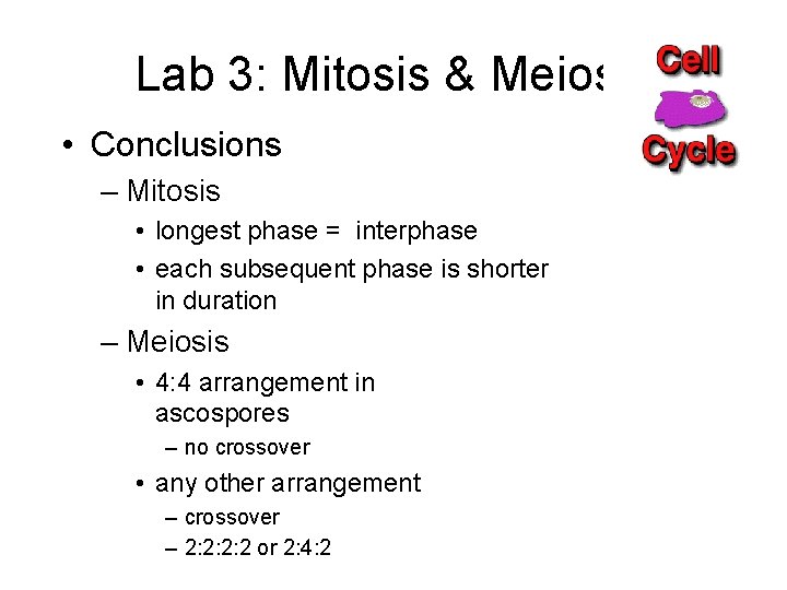 Lab 3: Mitosis & Meiosis • Conclusions – Mitosis • longest phase = interphase