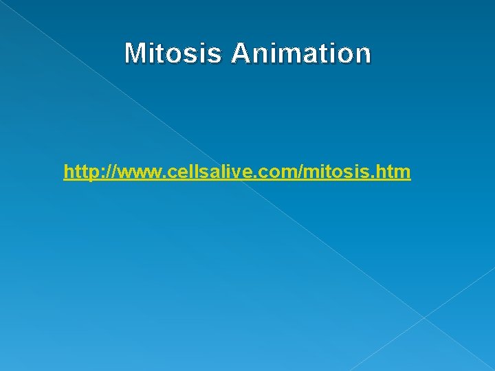 Mitosis Animation http: //www. cellsalive. com/mitosis. htm 