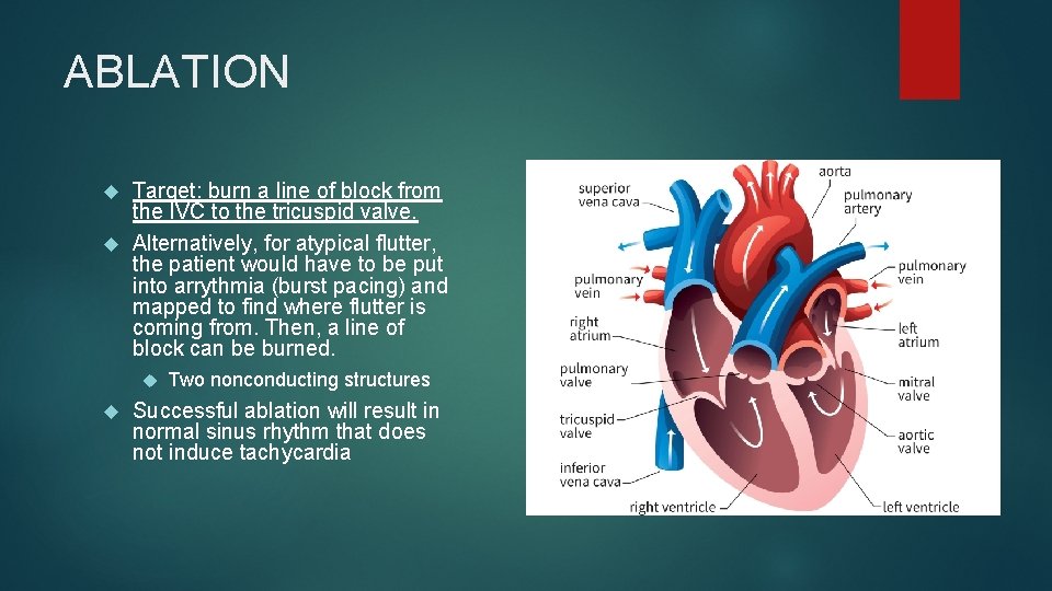 ABLATION Target: burn a line of block from the IVC to the tricuspid valve. ABLATION Target: burn a line of block from the IVC to the tricuspid valve.