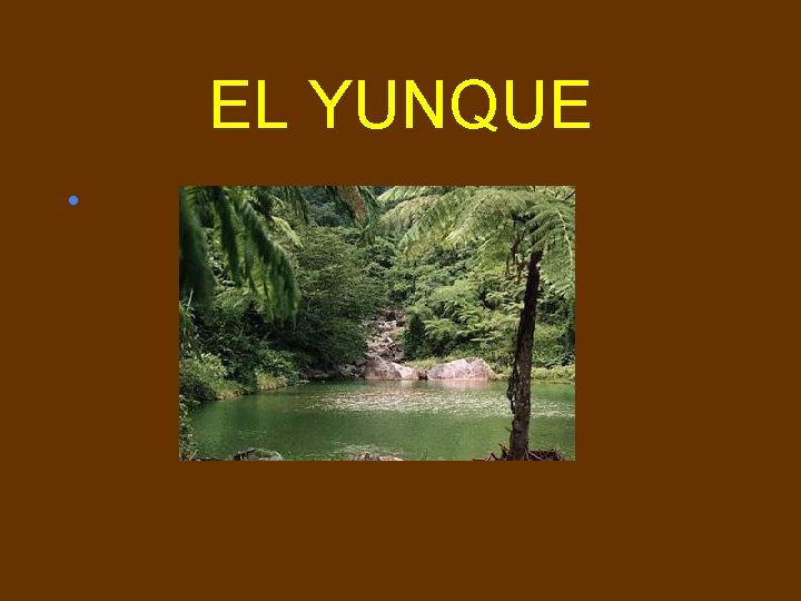 EL YUNQUE • 