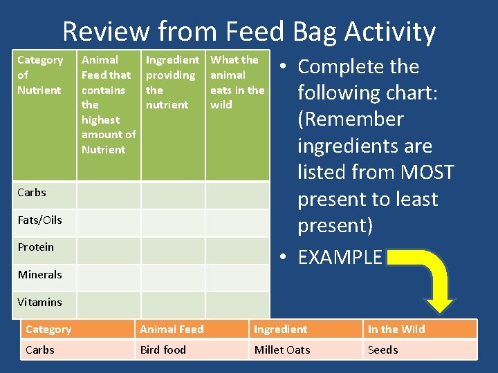 Review from Feed Bag Activity Category of Nutrient Animal Feed that contains the highest