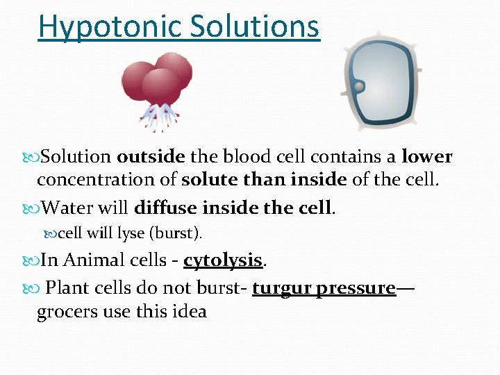 Hypotonic Solutions Solution outside the blood cell contains a lower concentration of solute than