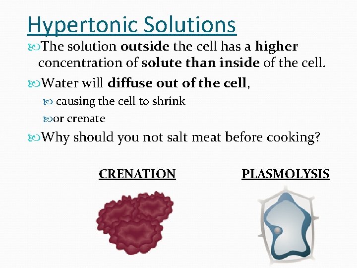 Hypertonic Solutions The solution outside the cell has a higher concentration of solute than