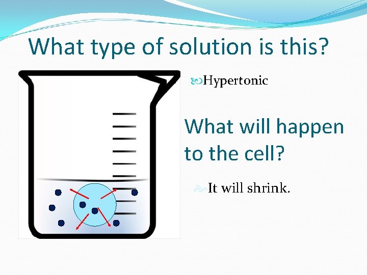 What type of solution is this? Hypertonic What will happen to the cell? It