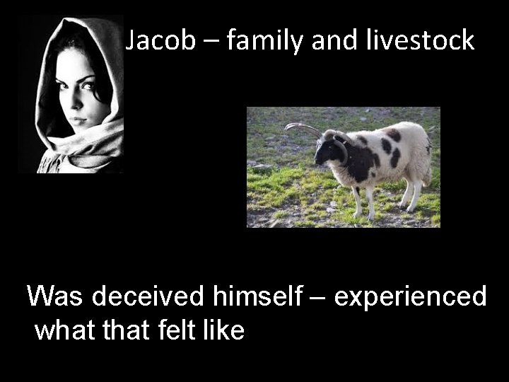 Jacob – family and livestock Was deceived himself – experienced what that felt like