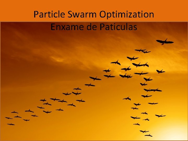 Particle Swarm Optimization Enxame de Paticulas 