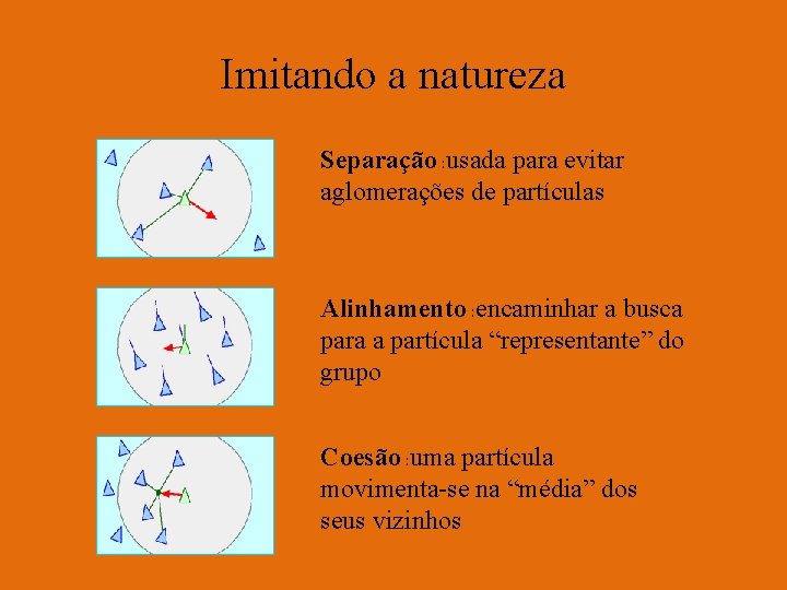 Imitando a natureza Separação : usada para evitar aglomerações de partículas Alinhamento : encaminhar