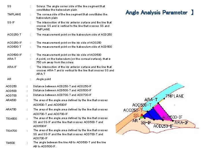 SS : Sclera: The angle corner side of the line segment that constitutes the