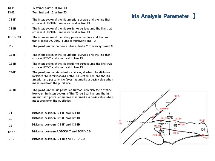 T 3 -I 1 T 3 -I 2 : : Terminal point 1 of