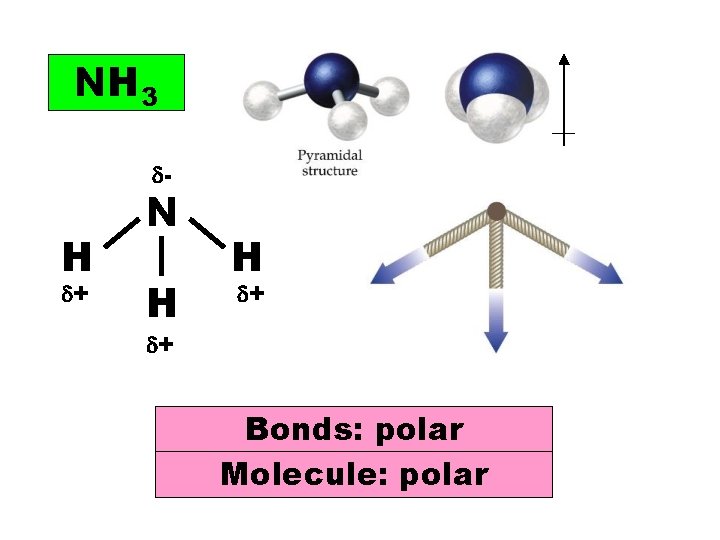 NH 3 - H + N H H + + Bonds: polar Molecule: polar