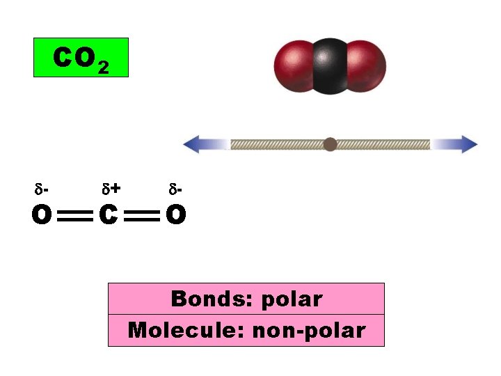CO 2 - O + C - O Bonds: polar Molecule: non-polar 
