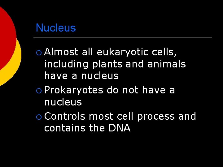 Nucleus ¡ Almost all eukaryotic cells, including plants and animals have a nucleus ¡