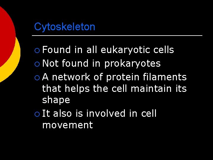 Cytoskeleton ¡ Found in all eukaryotic cells ¡ Not found in prokaryotes ¡ A
