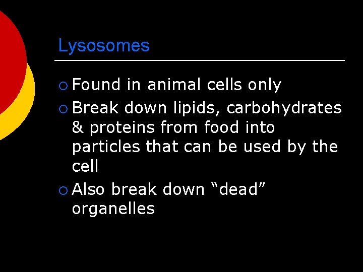 Lysosomes ¡ Found in animal cells only ¡ Break down lipids, carbohydrates & proteins