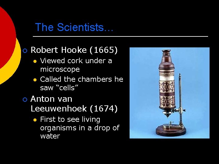 The Scientists… ¡ Robert Hooke (1665) l l ¡ Viewed cork under a microscope