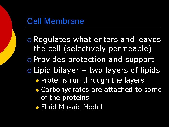 Cell Membrane ¡ Regulates what enters and leaves the cell (selectively permeable) ¡ Provides