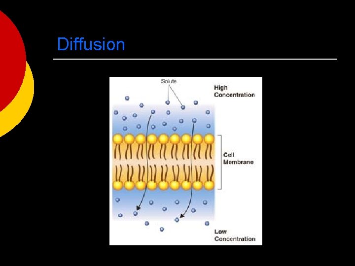 Diffusion 