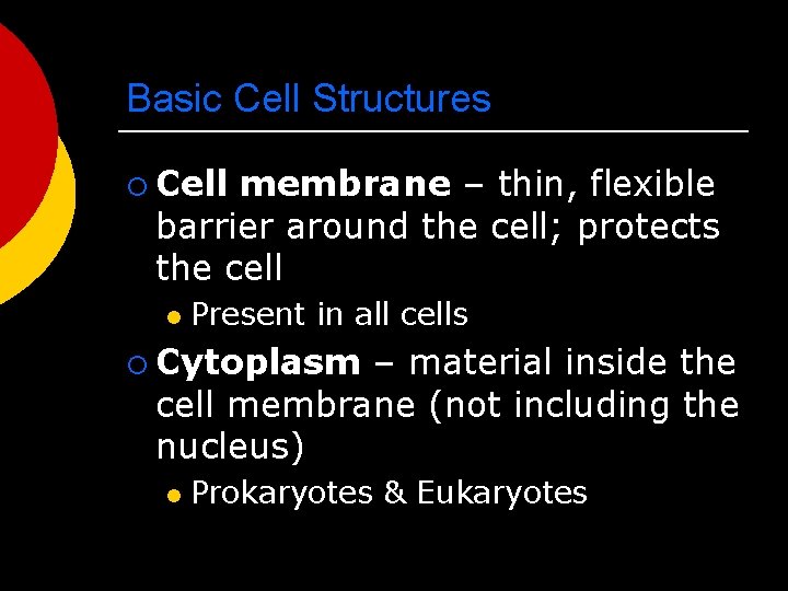 Basic Cell Structures ¡ Cell membrane – thin, flexible barrier around the cell; protects