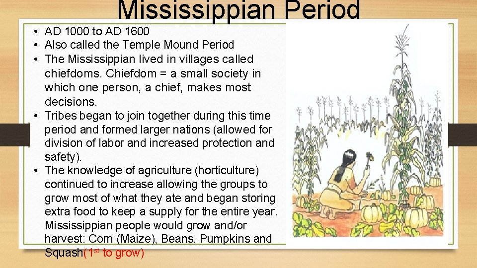 Mississippian Period • AD 1000 to AD 1600 • Also called the Temple Mound