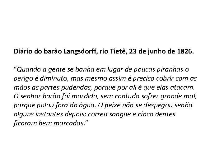 Diário do barão Langsdorff, rio Tietê, 23 de junho de 1826. “Quando a gente