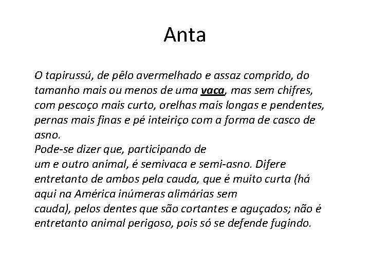 Anta O tapirussú, de pêlo avermelhado e assaz comprido, do tamanho mais ou menos