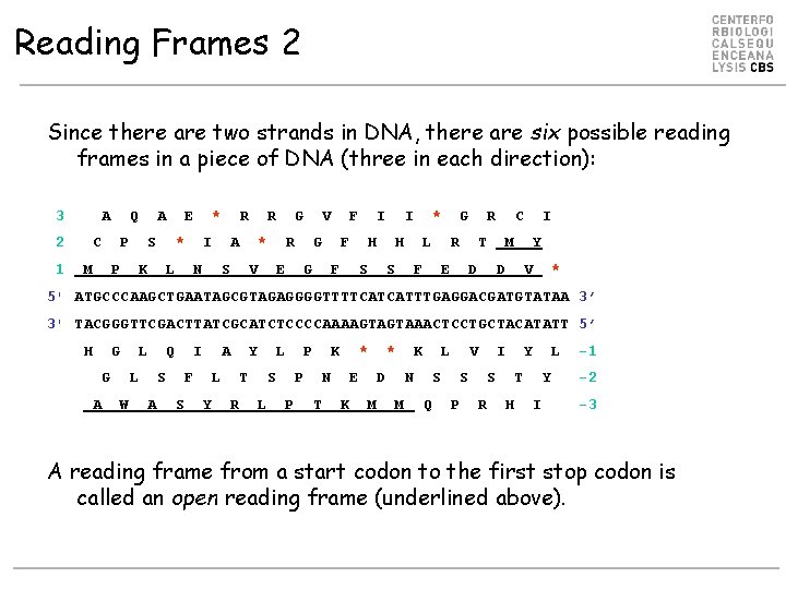 Reading Frames 2 Since there are two strands in DNA, there are six possible