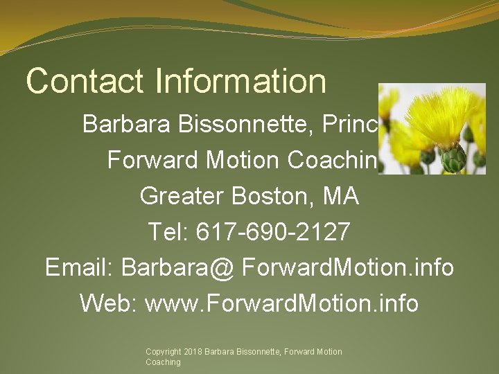 Contact Information Barbara Bissonnette, Principal Forward Motion Coaching Greater Boston, MA Tel: 617 -690