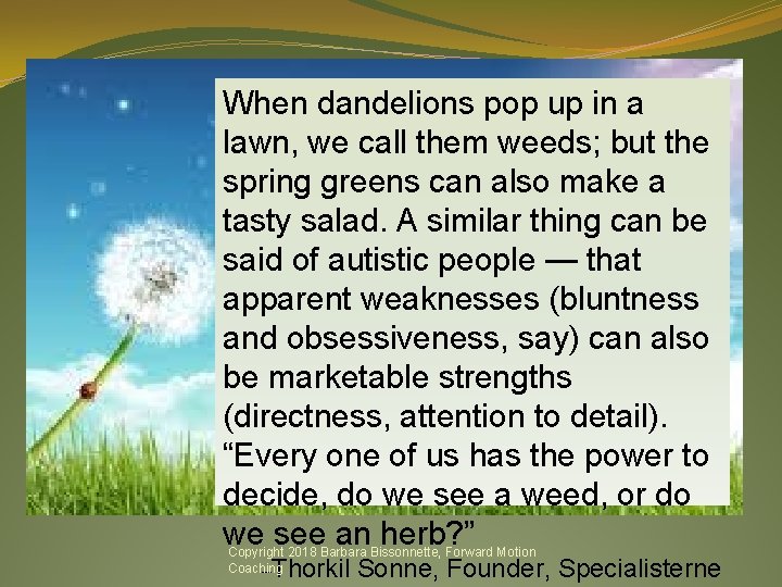 When dandelions pop up in a lawn, we call them weeds; but the spring