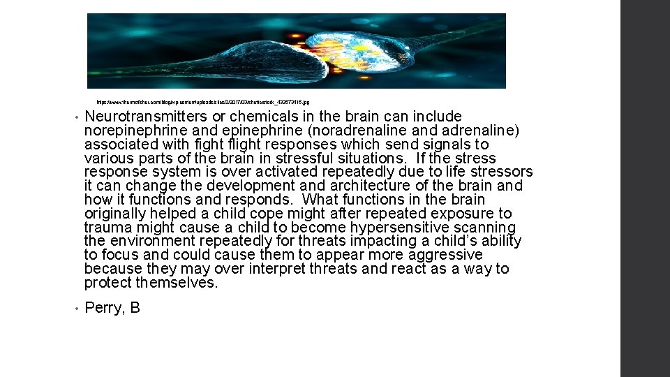 https: //www. thermofisher. com/blog/wp-content/uploads/sites/2/2017/03/shutterstock_432573415. jpg • Neurotransmitters or chemicals in the brain can include