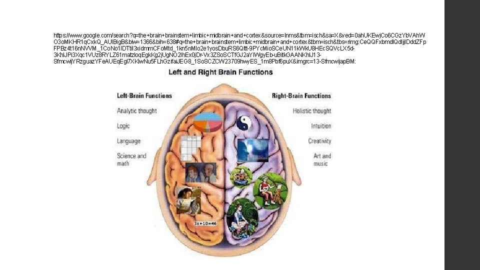 https: //www. google. com/search? q=the+brainstem+limbic+midbrain+and+cortex&source=lnms&tbm=isch&sa=X&ved=0 ah. UKEwj. Co 6 CGz. Yb. VAh. W O