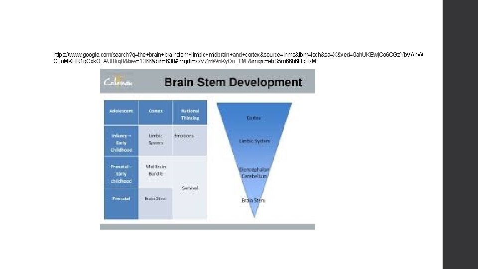 https: //www. google. com/search? q=the+brainstem+limbic+midbrain+and+cortex&source=lnms&tbm=isch&sa=X&ved=0 ah. UKEwj. Co 6 CGz. Yb. VAh. W O